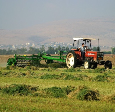 sde eliyahu1